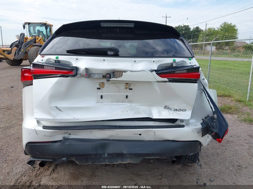 2019 Lexus Nx 300 VIN: JTJYARBZ6K2126299 Lot: 43204657