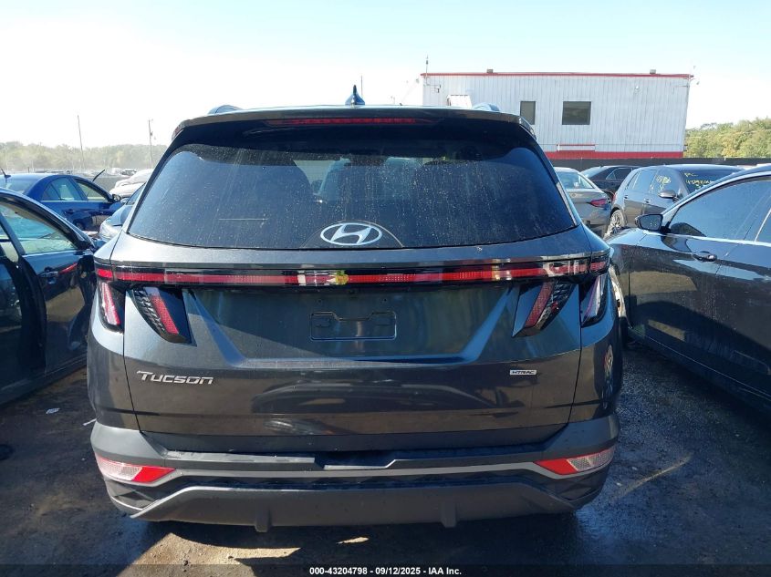 2023 Hyundai Tucson Sel VIN: 5NMJFCAEXPH239094 Lot: 43204798
