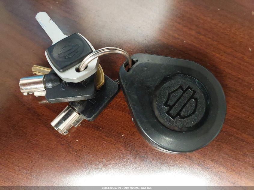 2021 Harley-Davidson Fltrxs VIN: 1HD1KTP18MB673481 Lot: 43205739