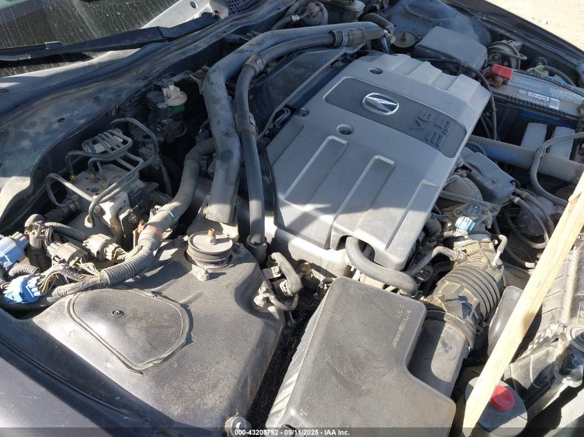 2002 Acura Rl 3.5 VIN: JH4KA96572C001014 Lot: 43205792