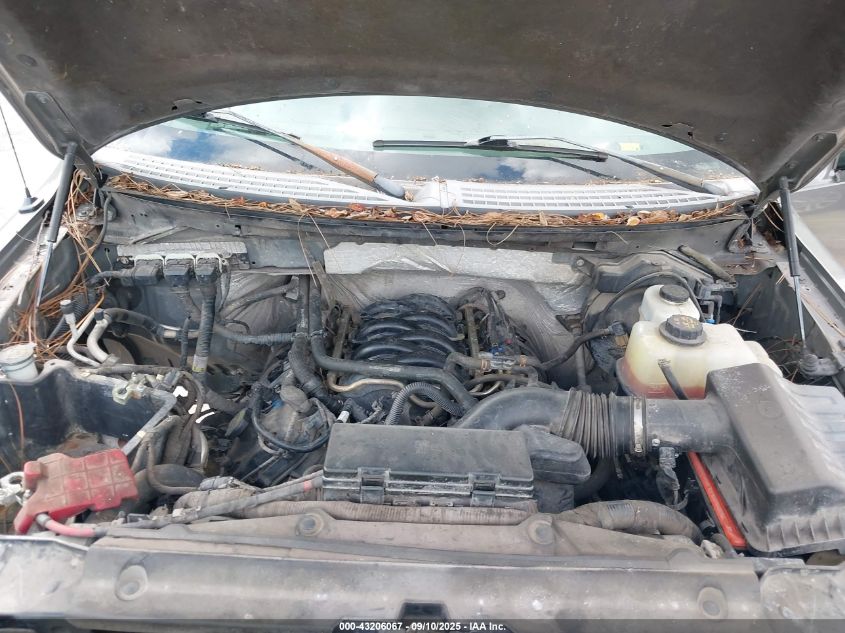 2011 Ford F-150 Xl VIN: 1FTFX1EF7BFC21409 Lot: 43206067