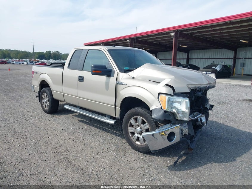 1FTFX1EV6AFD74644 2010 Ford F-150 Fx4/Lariat/Xl/Xlt auction photo 1