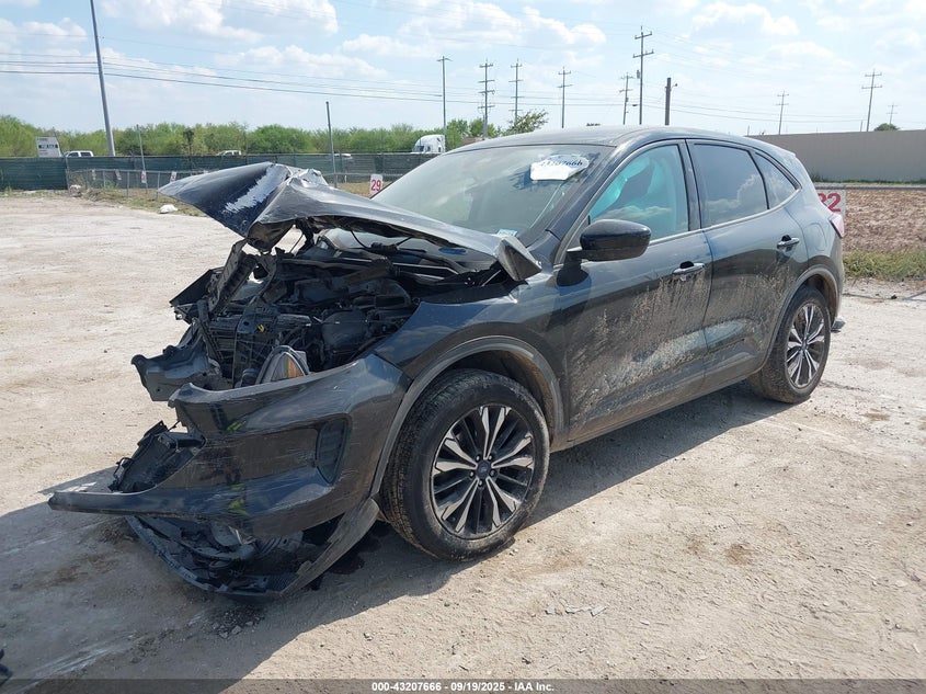 2022 FORD ESCAPE SE - 1FMCU0G60NUB38029