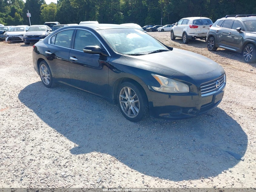 Vin: 1n4aa5ap7bc831058, lot: 43702744, nissan maxima 3.5 sv 2011 img_1