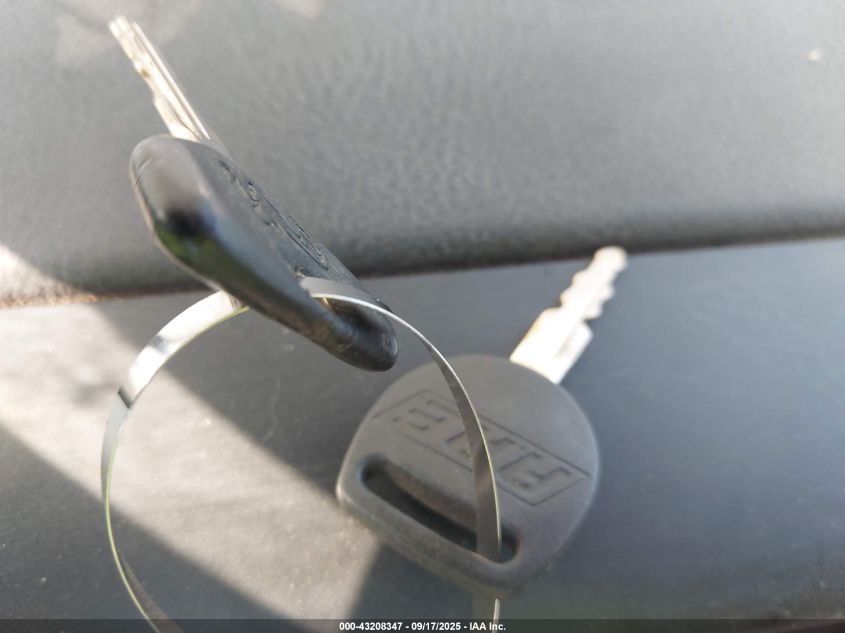 1999 Dodge Ram 1500 St VIN: 3B7HF13Z4XG156033 Lot: 43208347