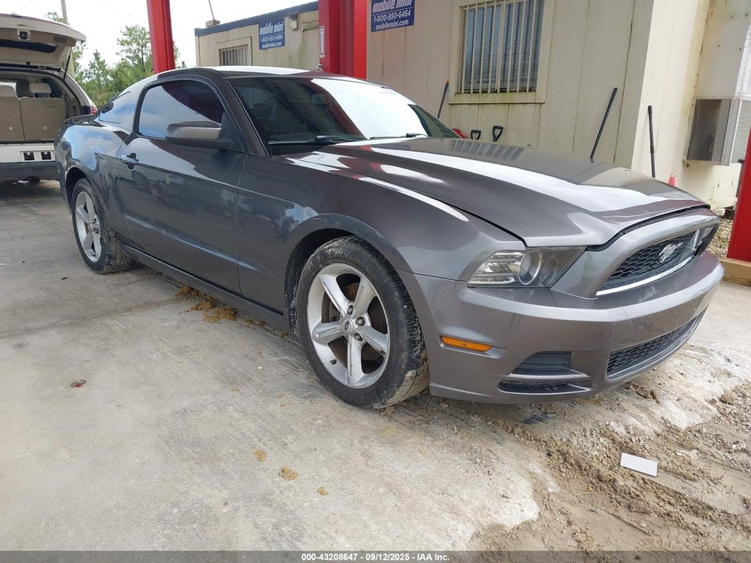 1ZVBP8AM1D5260370 2013 Ford Mustang V6 Premium auction photo 1