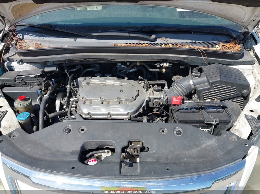 2008 Honda Odyssey Ex-L VIN: 5FNRL38798B088237 Lot: 43209424