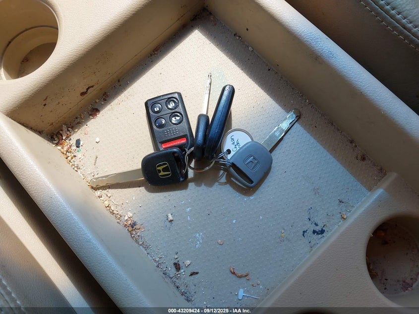 2008 Honda Odyssey Ex-L VIN: 5FNRL38798B088237 Lot: 43209424