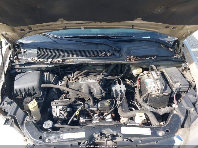 2D4RN5D16AR350252 2010 DODGE CARAVAN photo no. 10