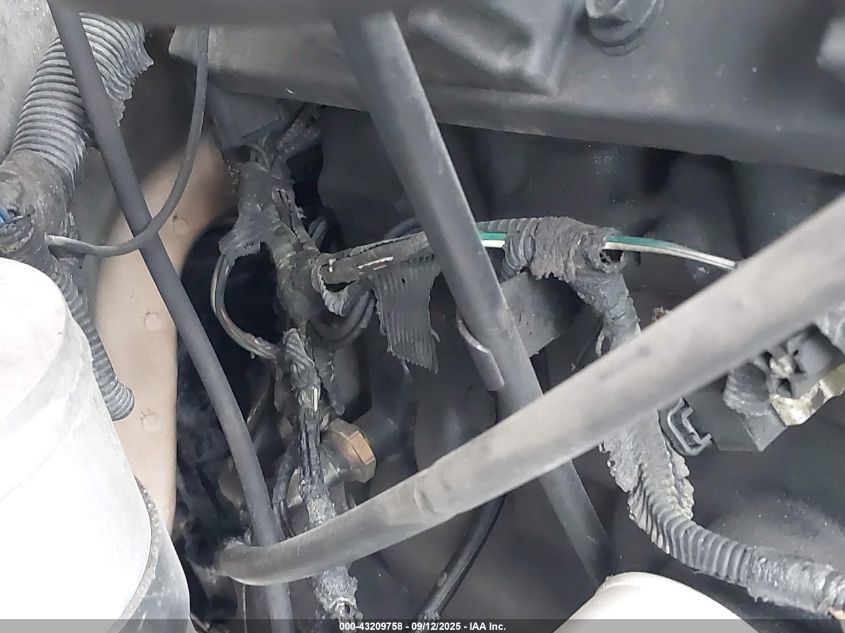 2001 Jeep Wrangler Sport VIN: 1J4FA49S51P365974 Lot: 43209758