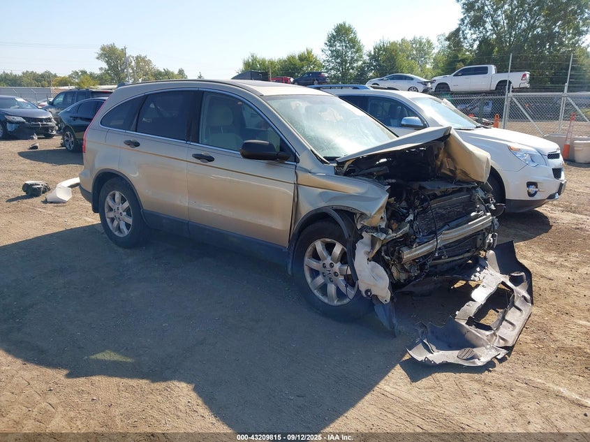 5J6RE48599L018146 2009 Honda Cr-V Ex auction photo 1