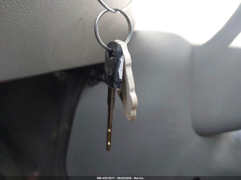 2009 Ford E-450 Cutaway VIN: 1FDFE45S39DA25120 Lot: 43210217