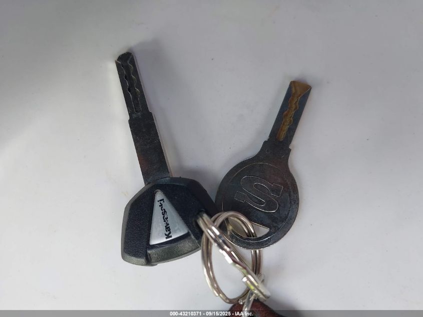 2024 Kawasaki Ex500 H VIN: ML5EXGH18RDA12259 Lot: 43210371