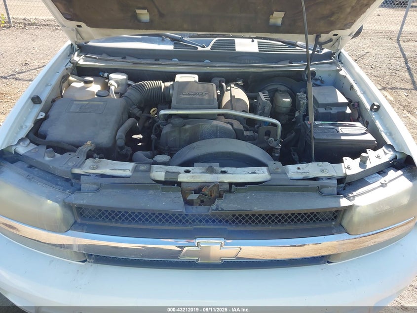 2007 Chevrolet Trailblazer Ls VIN: 1GNDS13S672160775 Lot: 43212019