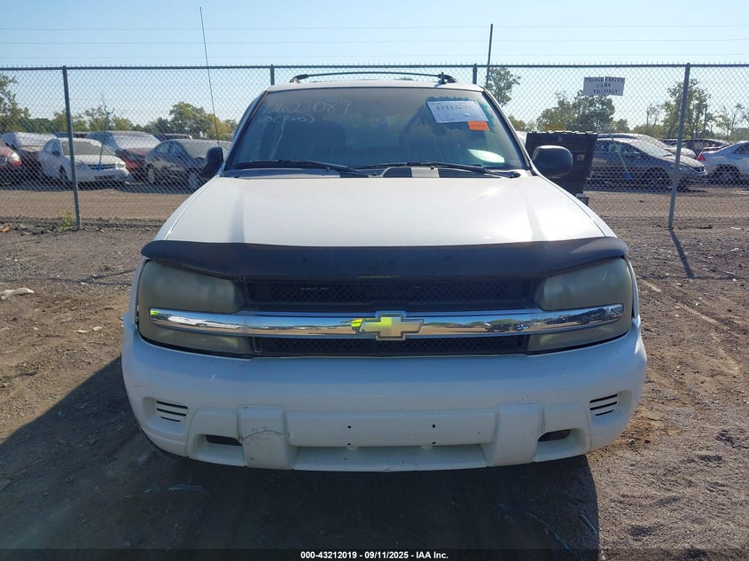 2007 Chevrolet Trailblazer Ls VIN: 1GNDS13S672160775 Lot: 43212019