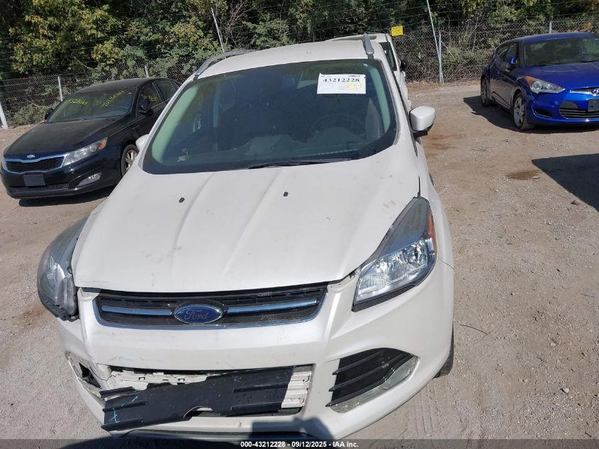 2014 Ford Escape Titanium VIN: 1FMCU0JX7EUB56884 Lot: 43212228