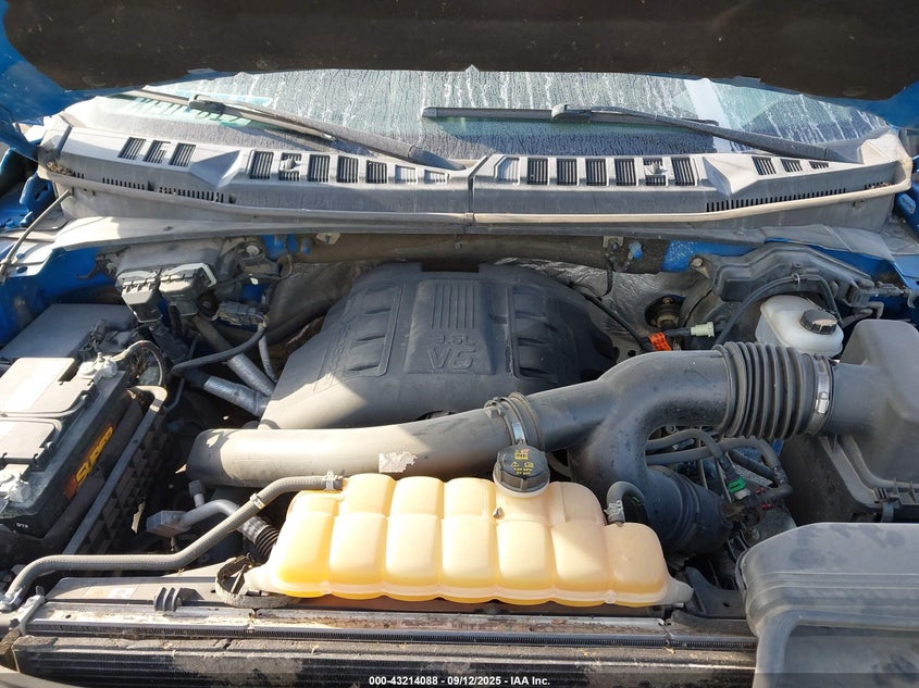 2015 FORD F-150 XLT 1FTFW1EG3FFC15012