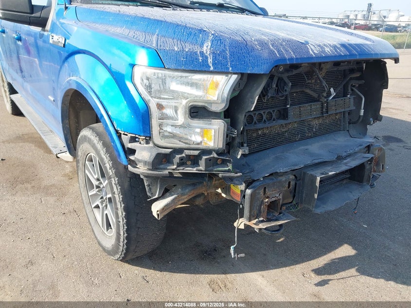 2015 FORD F-150 XLT 1FTFW1EG3FFC15012