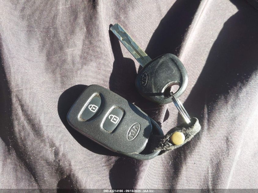 2013 Kia Sorento Lx VIN: 5XYKT3A10DG396844 Lot: 43214166