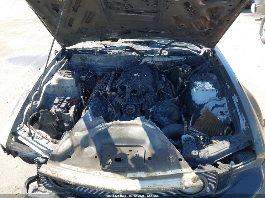 2008 Ford Mustang Gt Deluxe/Gt Premium VIN: 1ZVHT82H885101553 Lot: 43214603