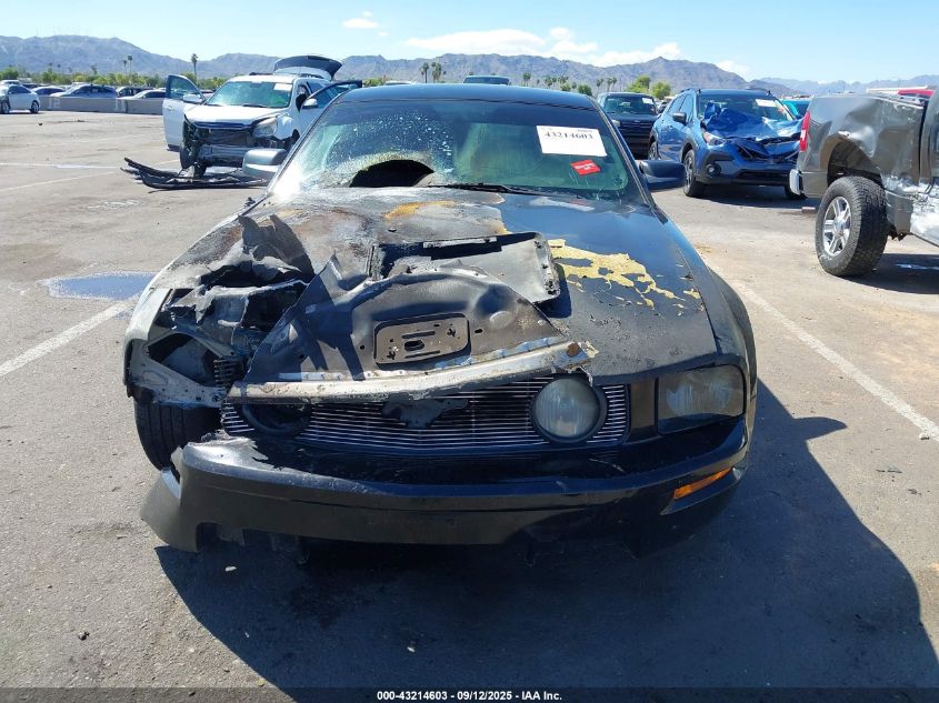 2008 Ford Mustang Gt Deluxe/Gt Premium VIN: 1ZVHT82H885101553 Lot: 43214603