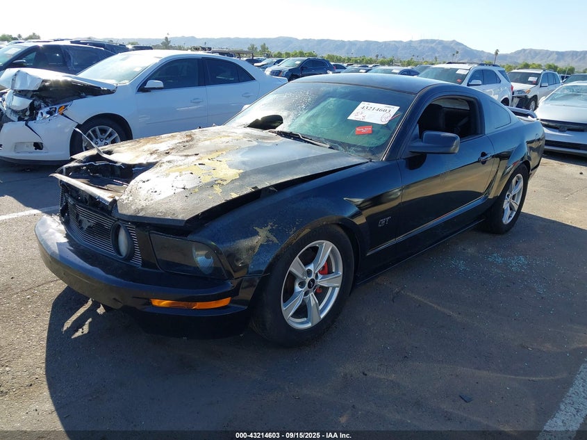 1ZVHT82H885101553 2008 FORD MUSTANG photo no. 2