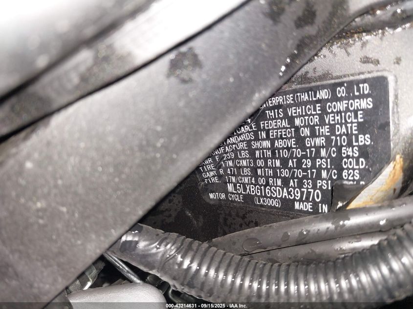 2025 Kawasaki Klx300 S VIN: ML5LXBG16SDA39770 Lot: 43214631