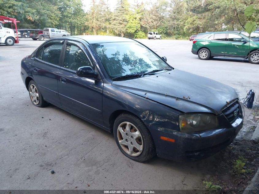 2004 Hyundai Elantra Gls/Gt VIN: KMHDN46D54U812232 Lot: 43214674