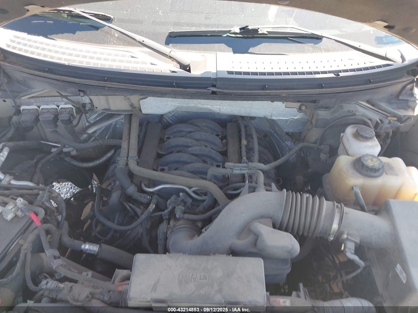 2013 FORD F-150 XLT 1FTFW1EF0DKE25224