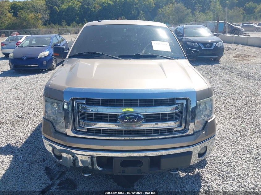 2013 FORD F-150 XLT 1FTFW1EF0DKE25224