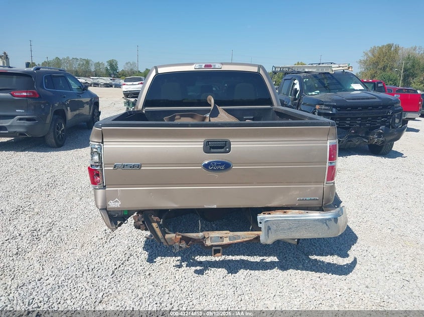 2013 FORD F-150 XLT 1FTFW1EF0DKE25224