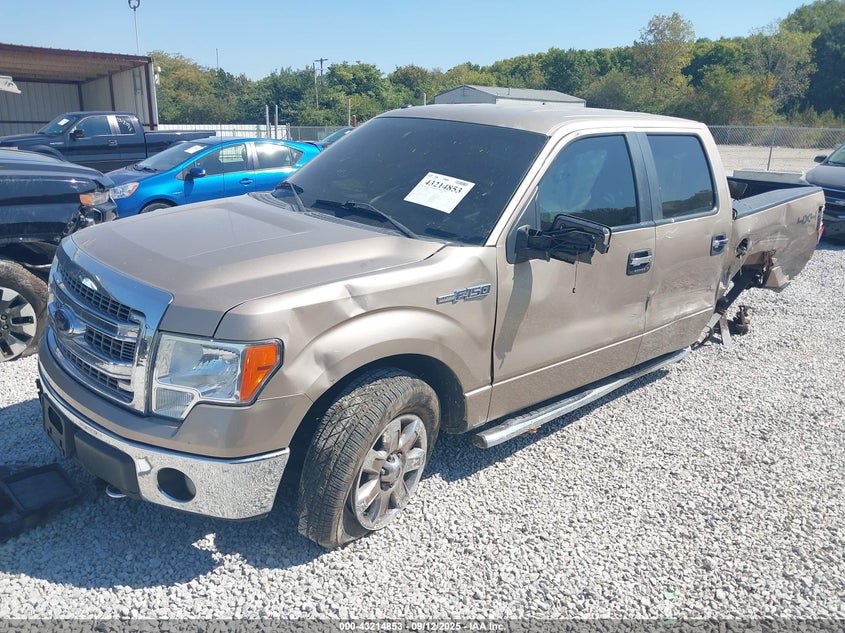 2013 FORD F-150 XLT 1FTFW1EF0DKE25224