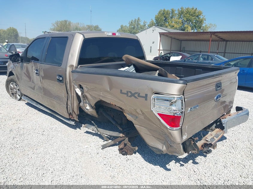 2013 FORD F-150 XLT 1FTFW1EF0DKE25224