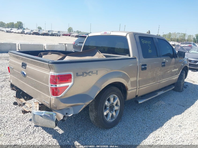 2013 FORD F-150 XLT 1FTFW1EF0DKE25224