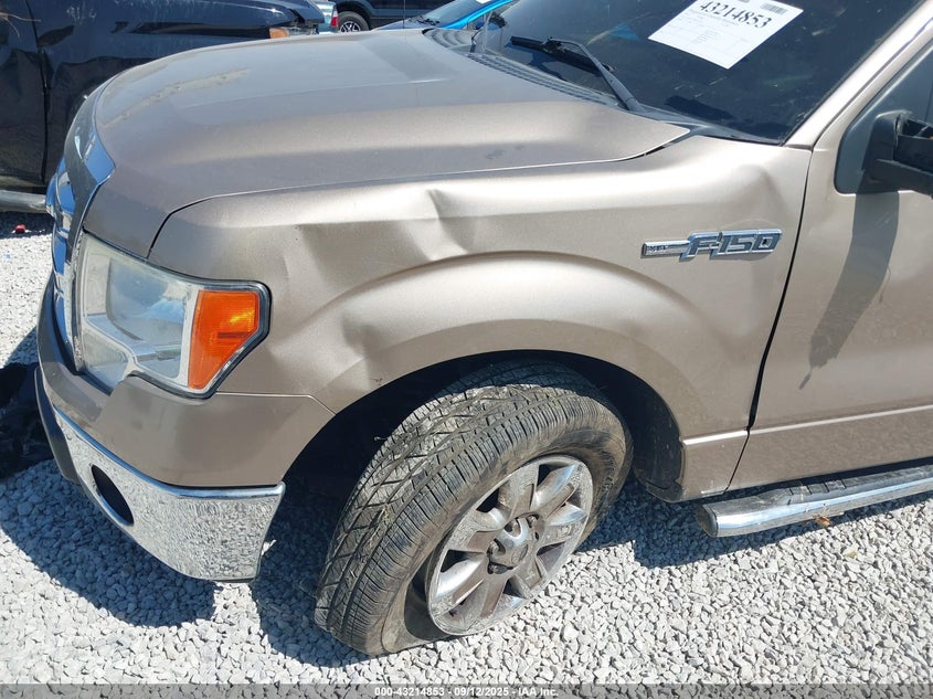 2013 FORD F-150 XLT 1FTFW1EF0DKE25224