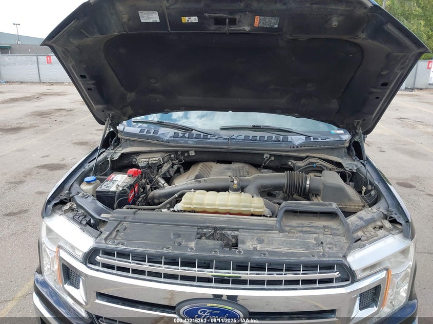 2019 FORD F-150 XLT - 1FTEW1E43KKD77919