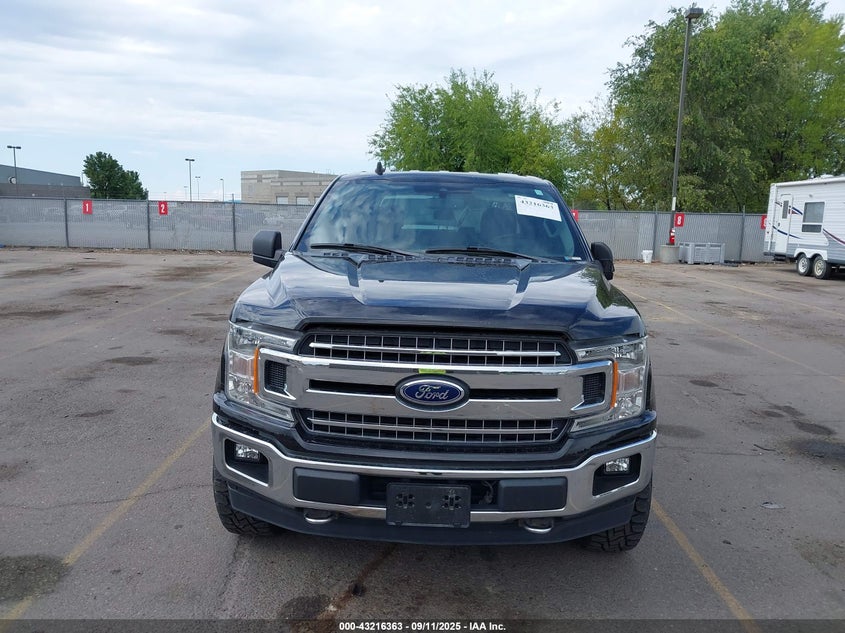 2019 FORD F-150 XLT - 1FTEW1E43KKD77919