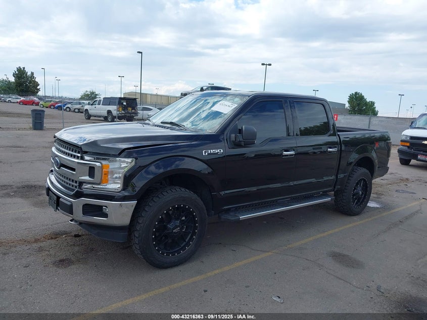 2019 FORD F-150 XLT - 1FTEW1E43KKD77919