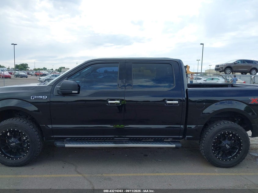 2019 FORD F-150 XLT - 1FTEW1E43KKD77919