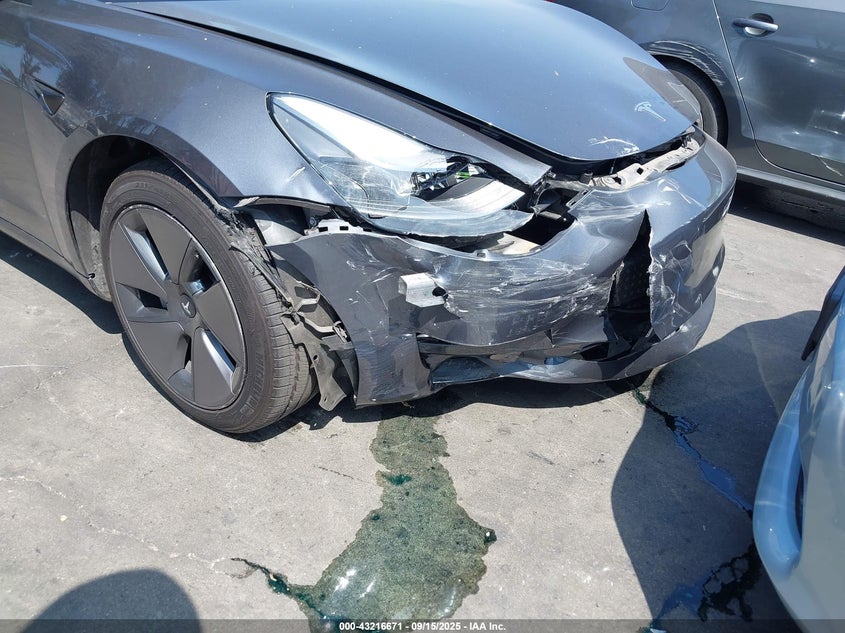 2023 Tesla Model 3 Rear-Wheel Drive VIN: 5YJ3E1EA8PF624596 Lot: 43216671