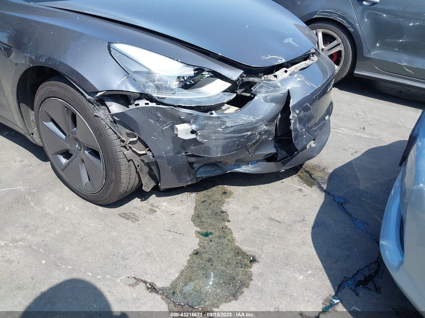 2023 Tesla Model 3 Rear-Wheel Drive VIN: 5YJ3E1EA8PF624596 Lot: 43216671