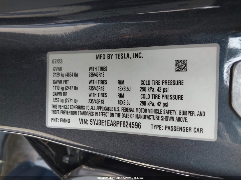 2023 Tesla Model 3 Rear-Wheel Drive VIN: 5YJ3E1EA8PF624596 Lot: 43216671