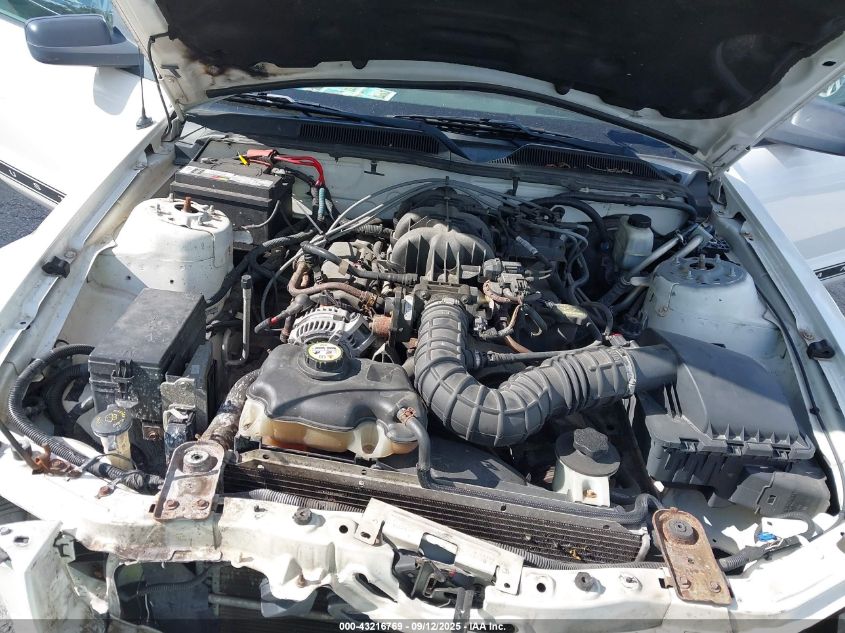 2009 Ford Mustang V6/V6 Premium VIN: 1ZVHT84N195107537 Lot: 43216769