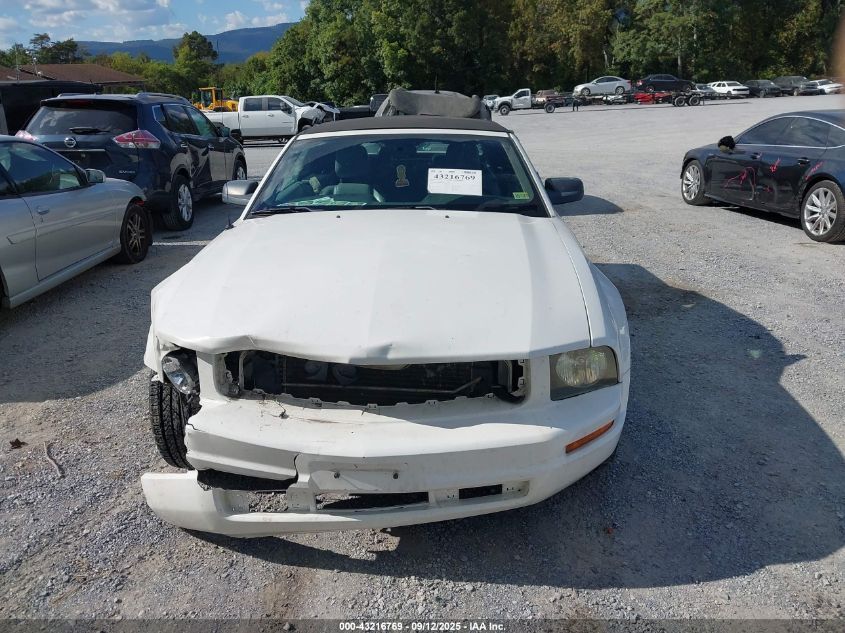 2009 Ford Mustang V6/V6 Premium VIN: 1ZVHT84N195107537 Lot: 43216769