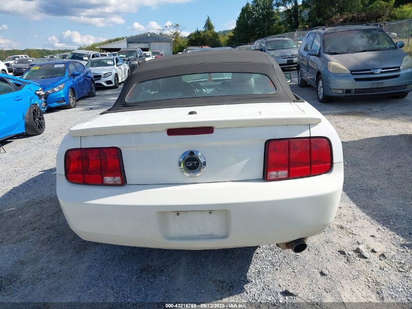 2009 Ford Mustang V6/V6 Premium VIN: 1ZVHT84N195107537 Lot: 43216769