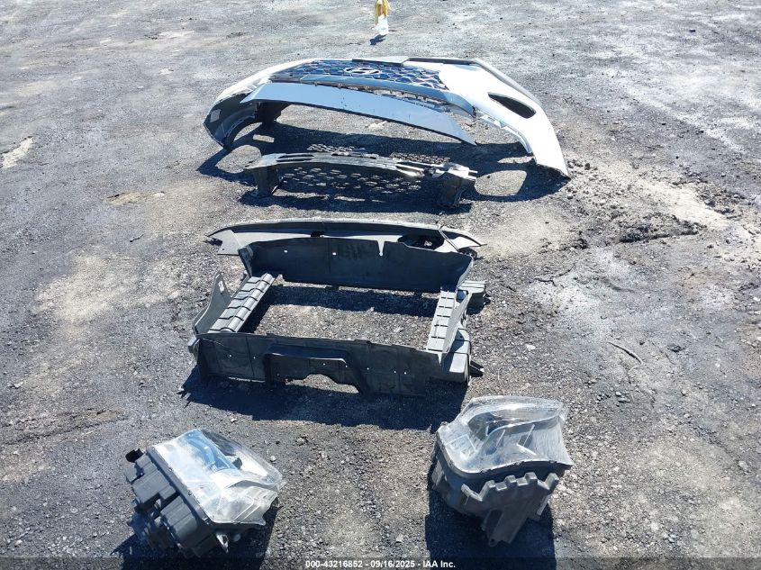 2020 Hyundai Santa Fe Limited VIN: 5NMS53AD2LH179773 Lot: 43216852