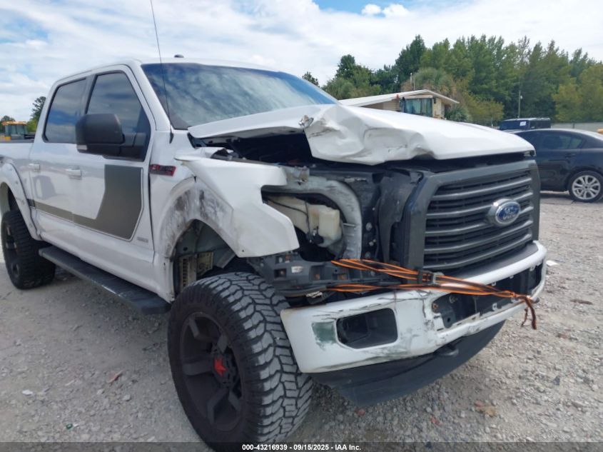 2016 Ford F-150 Xlt VIN: 1FTEW1EG4GFD39206 Lot: 43216939