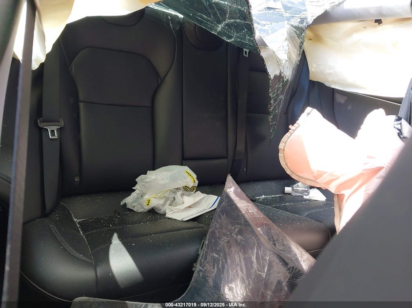 2024 Tesla Model 3 Long Range Dual Motor All-Wheel Drive/Rear-Wheel Drive VIN: 5YJ3E1EA9RF856210 Lot: 43217019