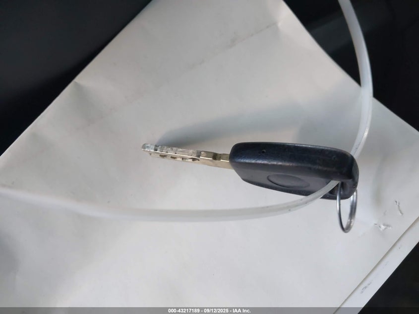 2019 Ram Promaster 2500 VIN: 3C6TRVDG5KE502351 Lot: 43217189