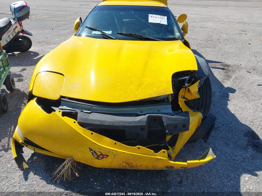 2004 Chevrolet Corvette Z06 Hardtop VIN: 1G1YY12SX45111348 Lot: 43217243